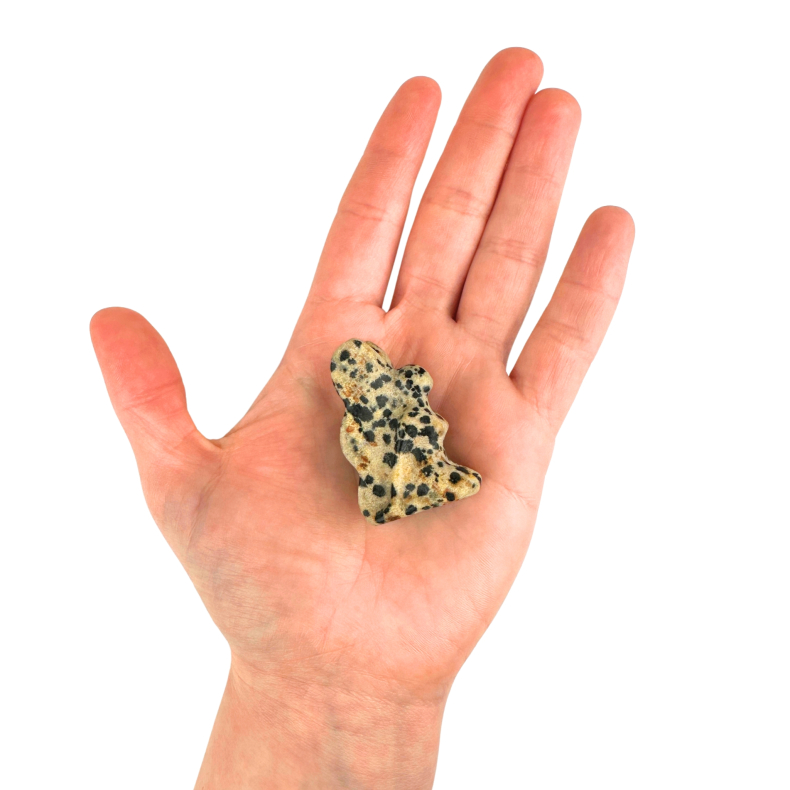 Dalmtatiner Jaspis alf 