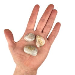 Blomster Agat, Lommesten