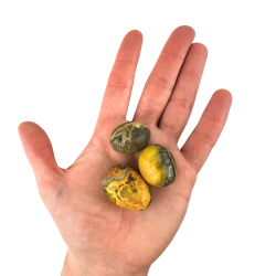 Bumble Bee Jaspis, Lommesten