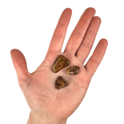 Elefant Jaspis, Lommesten