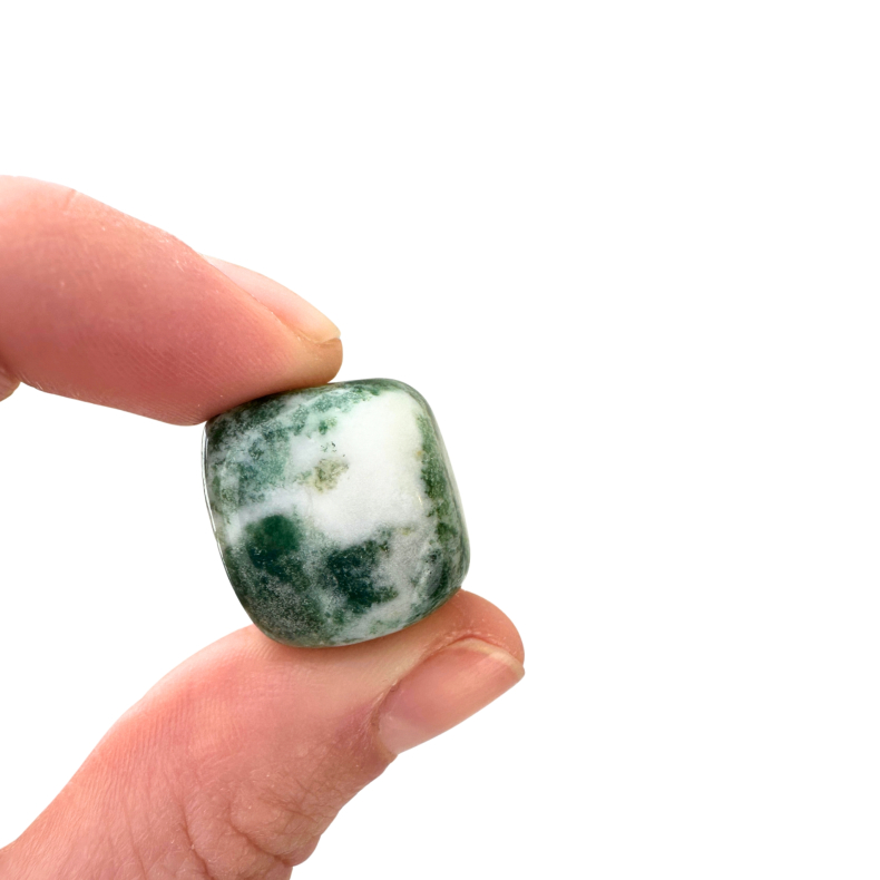 Indisk Agat, Lommesten