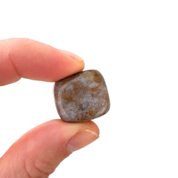 Indisk Agat, Lommesten