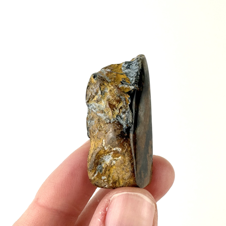 Pietersit, Lommesten 