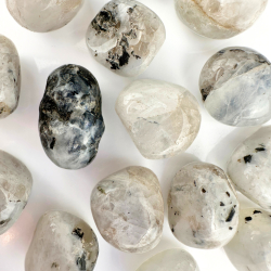 Regnbue Mnesten, Lommesten