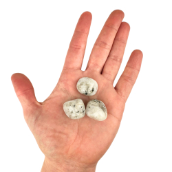 Regnbue Mnesten, Lommesten