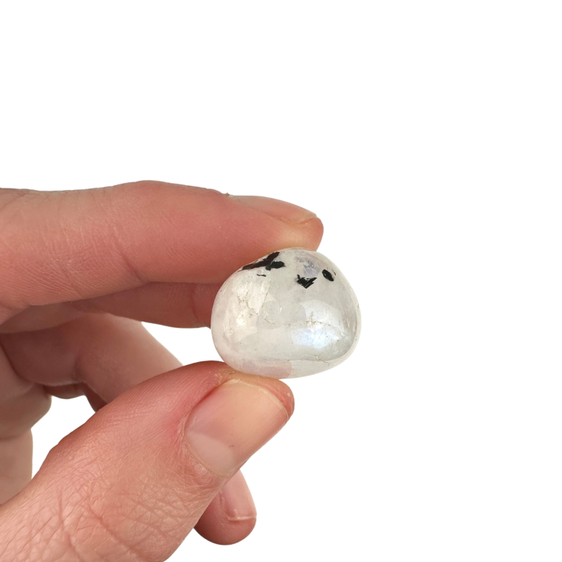 Regnbue Mnesten, Lommesten