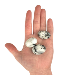 Regnbue Mnesten, Lommesten