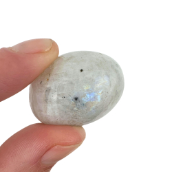 Regnbue Mnesten, Lommesten