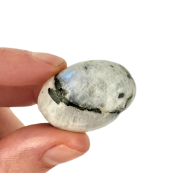 Regnbue Mnesten, Lommesten