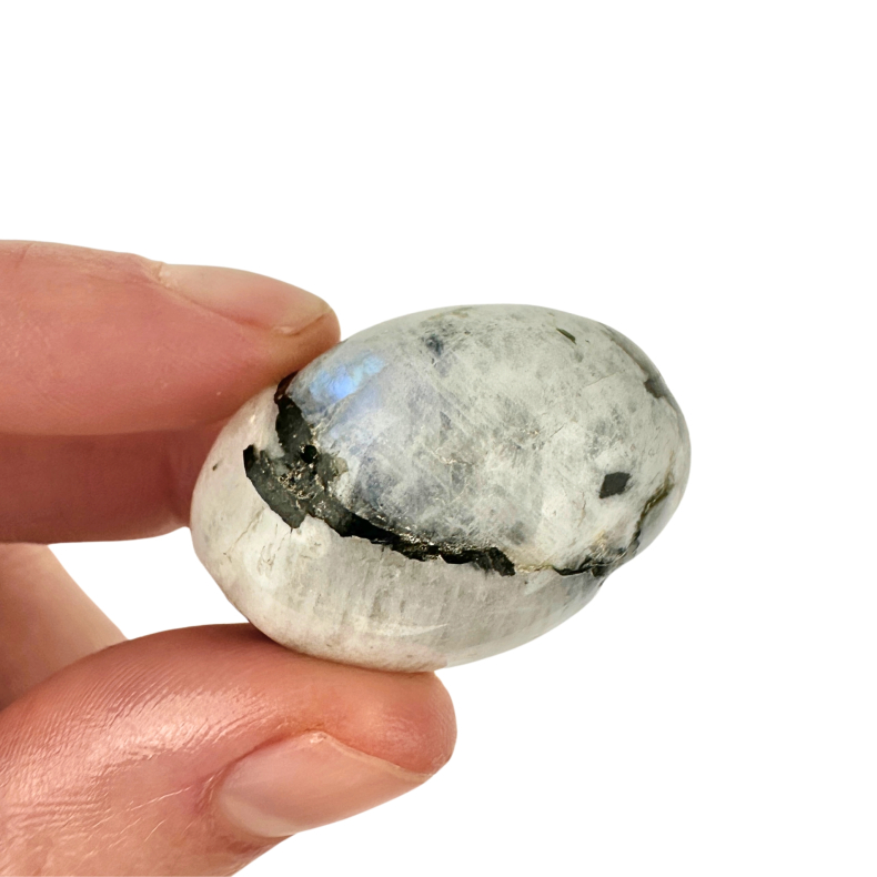 Regnbue Mnesten, Lommesten