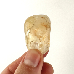 Nglering m. Brndt Citrin