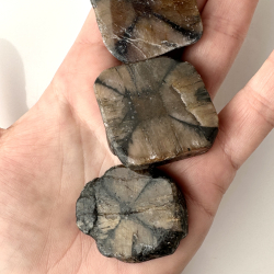 Chiastolit, palmstone