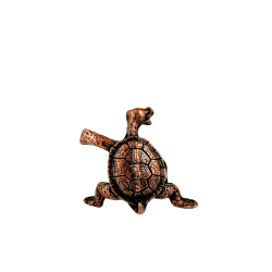 R�gelsesholder Skildpadde, Bronzefarvet