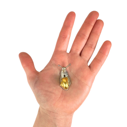 R�gelsesholder Snegl