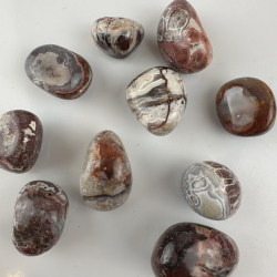 R�d Mexico Agat, Lommesten 