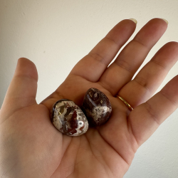 R�d Mexico Agat, Lommesten 