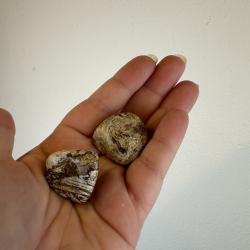 Drage vein jaspis, Lommesten 