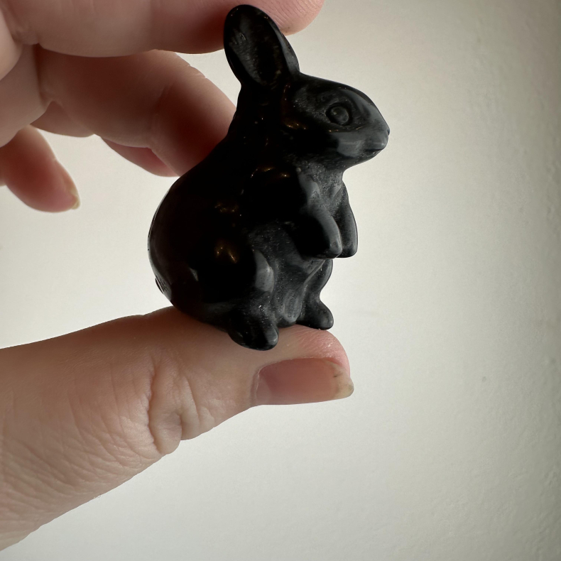 Sort Obsidian, Kanin