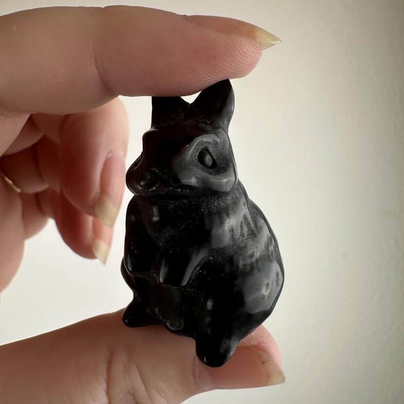 Sort Obsidian, Kanin