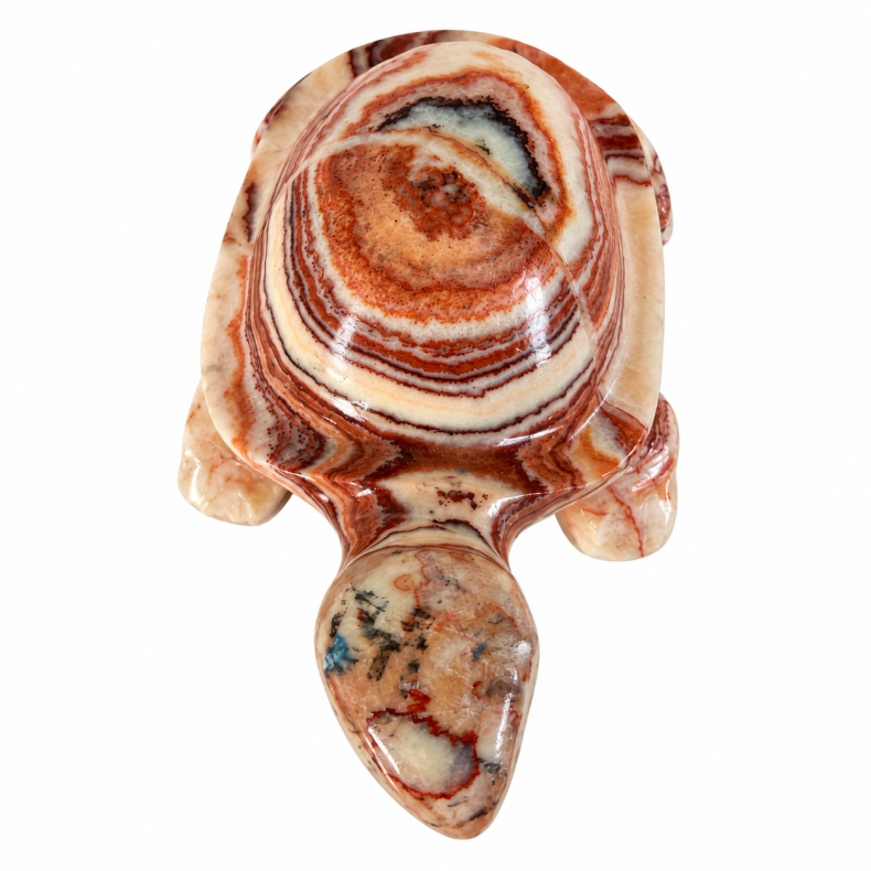 Stribet Onyx Skilpadde 1