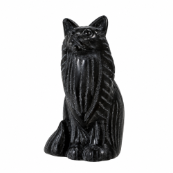 Sort Obsidian, Maine Coon kat 
