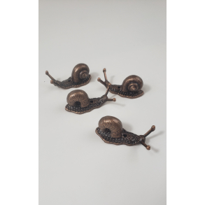 Rgelsesholder snegl, Bronze farvet