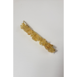 Brndt citrin, Hrspnde 