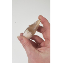 Blomster agat, Spids, Lille 