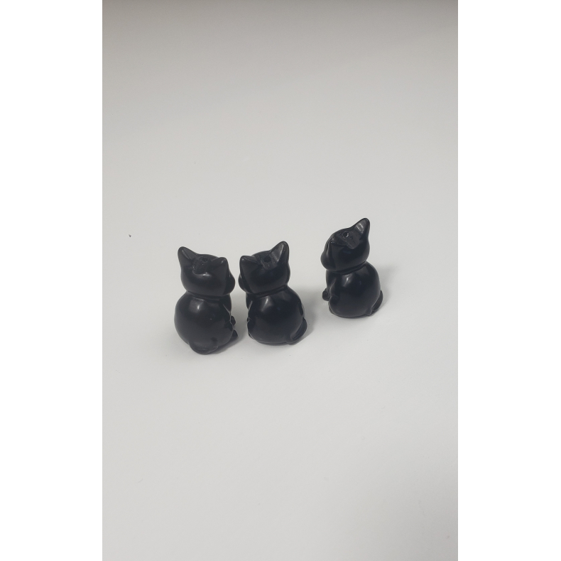 Sort obsidian, Killing