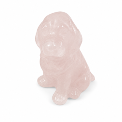 Rosakvarts, labrador hund 