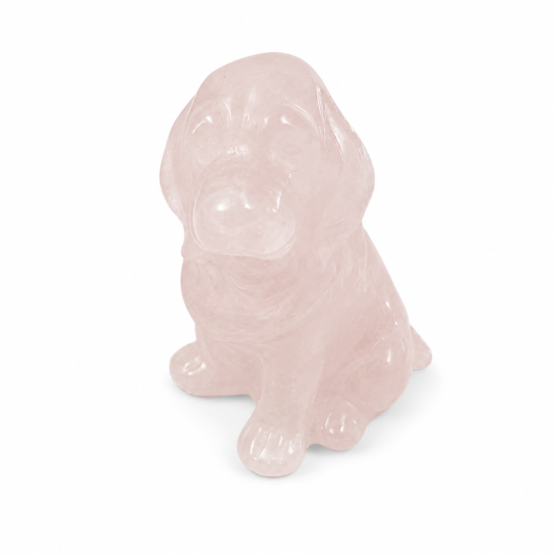 Rosakvarts, labrador hund 