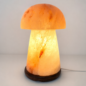 Saltlampe, svamp 