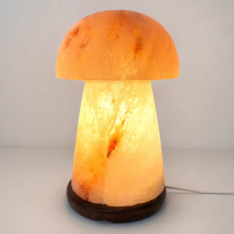 Saltlampe, svamp 