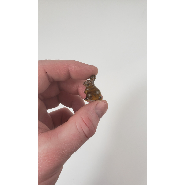 Tigerje, Lille kanin