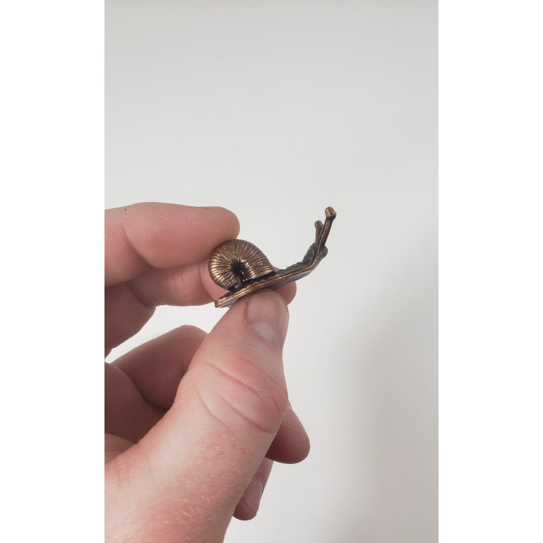 Rgelsesholder snegl, Bronze farvet