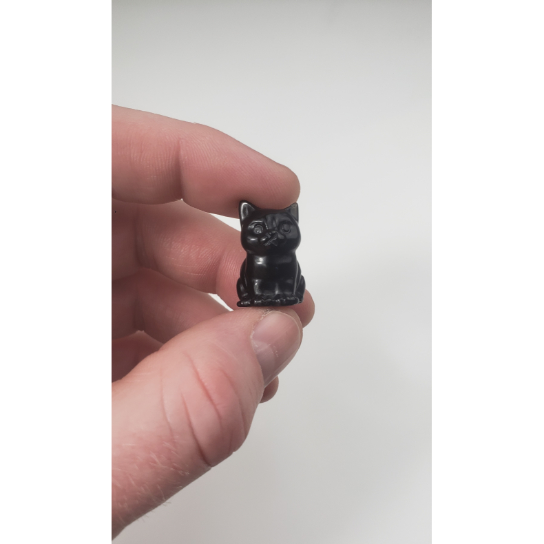 Sort obsidian, Killing