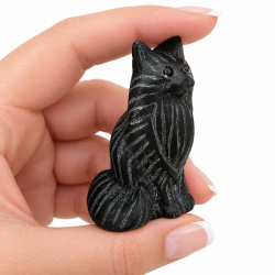 Sort Obsidian, Maine Coon kat 