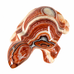 Stribet Onyx Skildpadde 2 