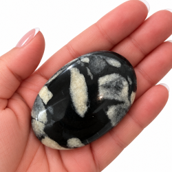 Skal/shell Jaspis Palmstone 