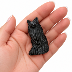 Sort Obsidian, Maine Coon kat 