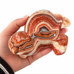 Stribet Onyx Skildpadde 2 