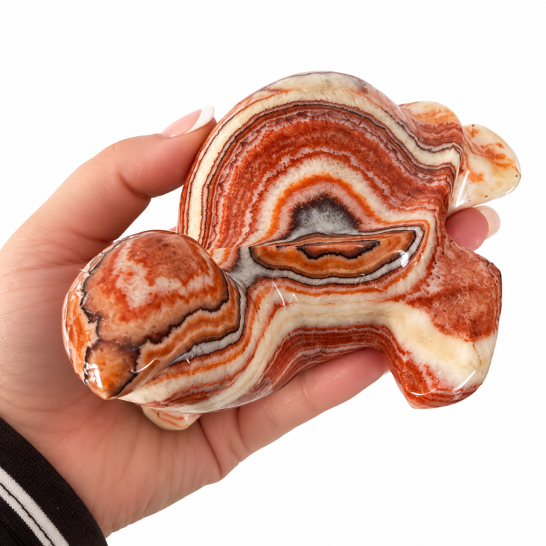 Stribet Onyx Skildpadde 2 
