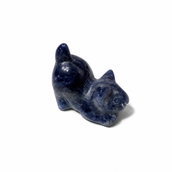 Sodalit, st�ende kat 