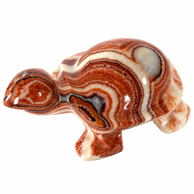 Stribet Onyx Skildpadde 2 