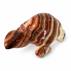 Stribet Onyx Skildpadde 3