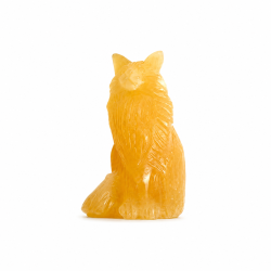 Orange Calcit Mani coon kat 