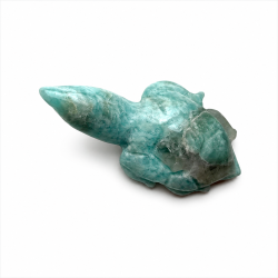 Amazonit skilpadde m. Lang hals 