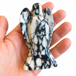 Skal Jaspis/Shell Jaspis Engel Xl