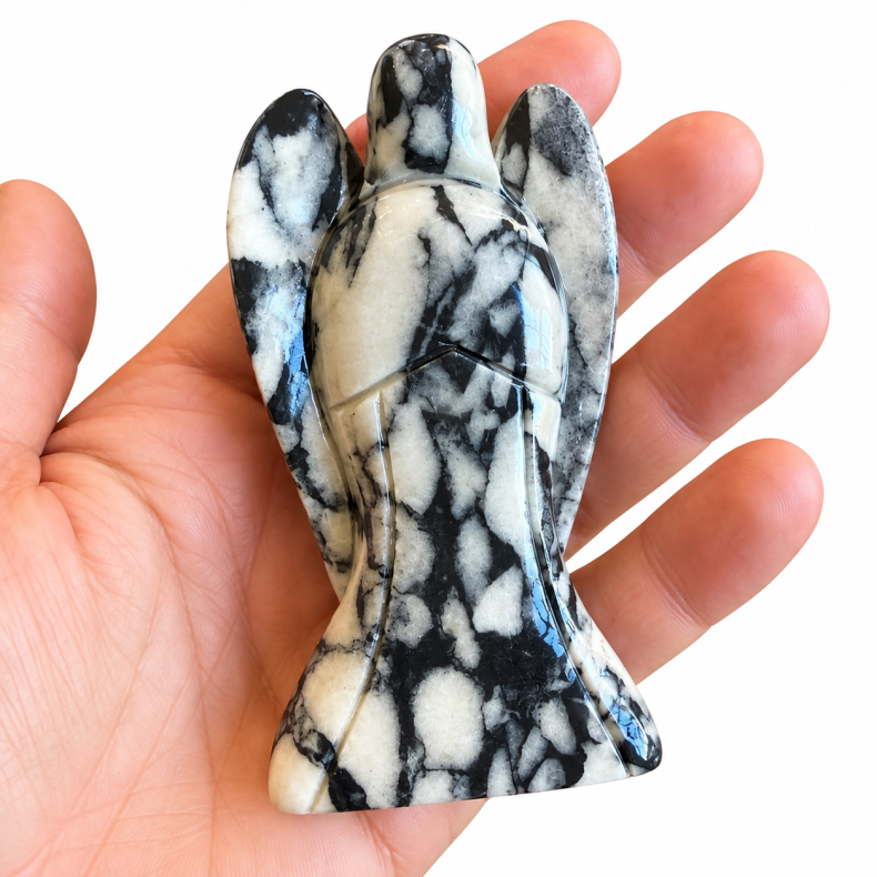 Skal Jaspis/Shell Jaspis Engel Xl