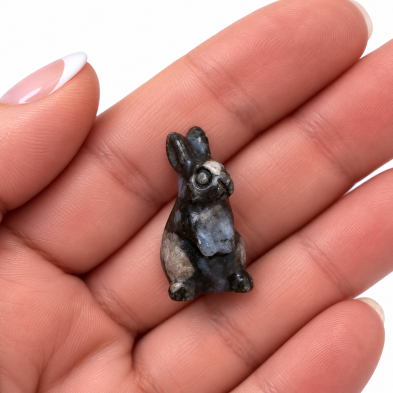 Indigo Gabbro, kanin unge 